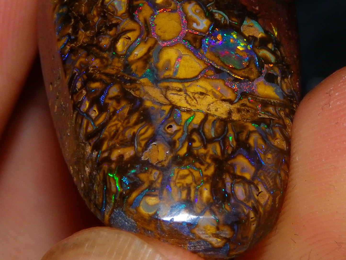 Nice Cut/Polished Koroit Opal Cab/Freeform 79.35cts Fires/Veins/Patterns Qld Au