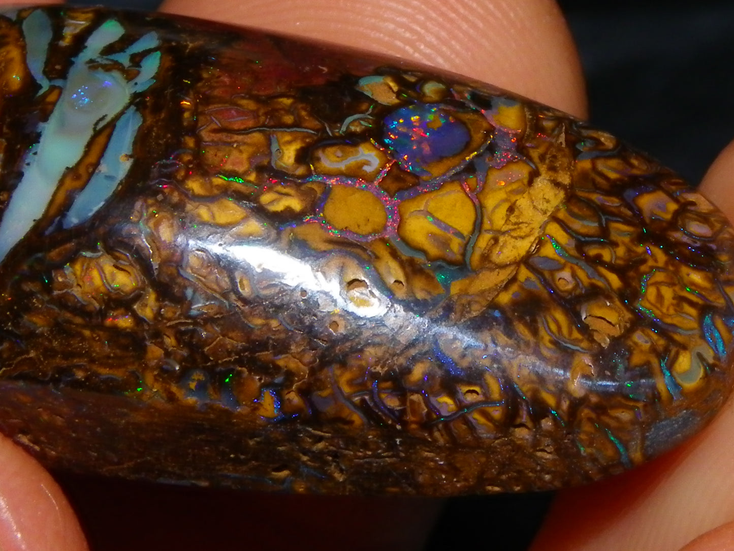 Nice Cut/Polished Koroit Opal Cab/Freeform 79.35cts Fires/Veins/Patterns Qld Au