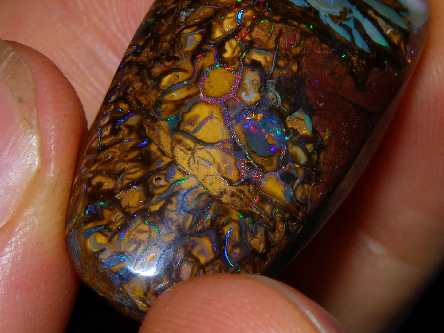 Nice Cut/Polished Koroit Opal Cab/Freeform 79.35cts Fires/Veins/Patterns Qld Au