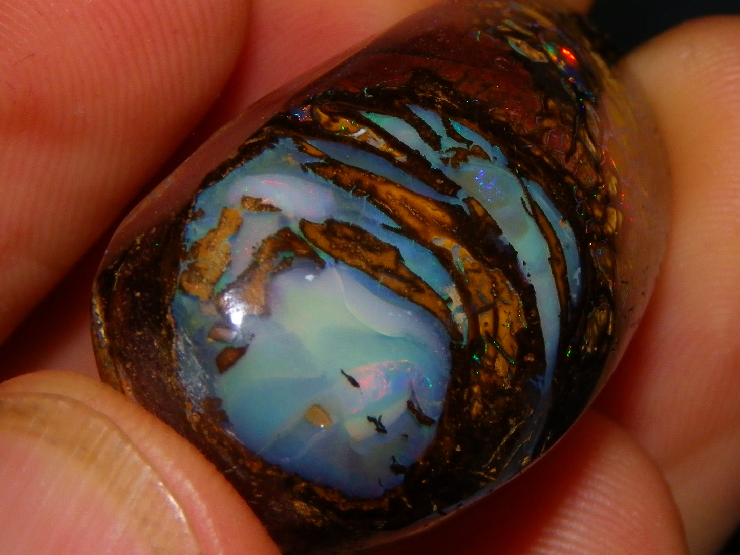 Nice Cut/Polished Koroit Opal Cab/Freeform 79.35cts Fires/Veins/Patterns Qld Au