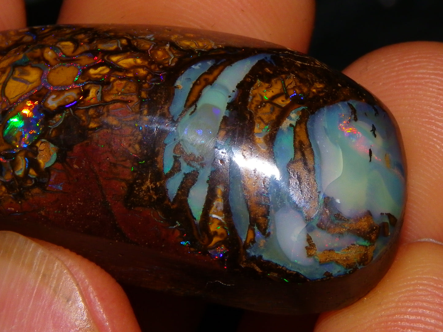 Nice Cut/Polished Koroit Opal Cab/Freeform 79.35cts Fires/Veins/Patterns Qld Au