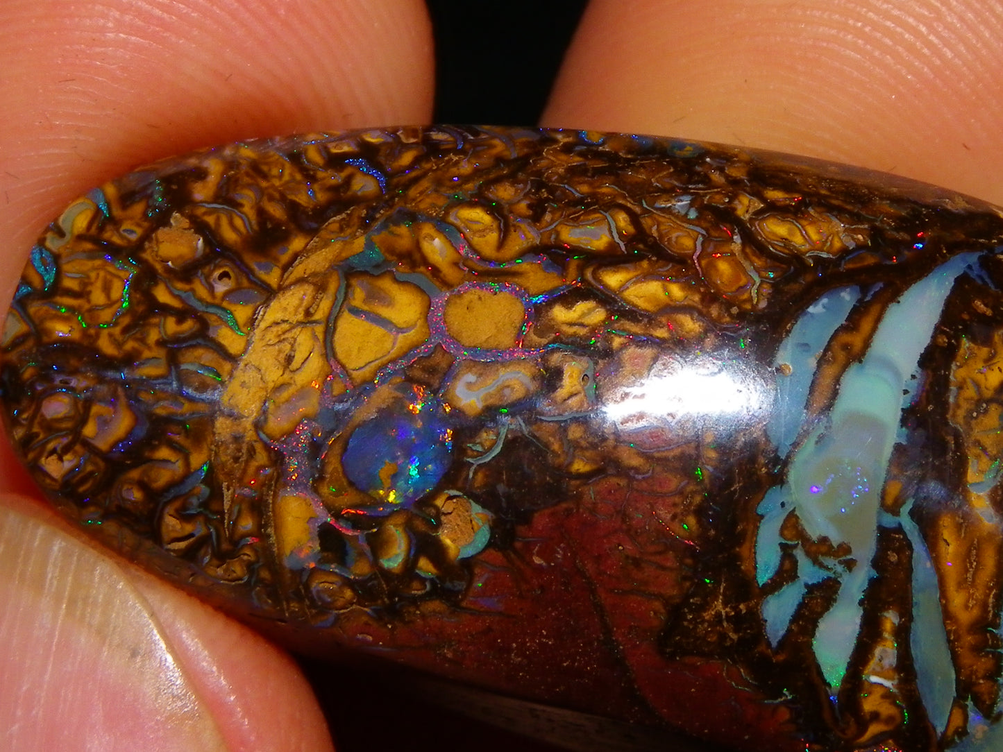 Nice Cut/Polished Koroit Opal Cab/Freeform 79.35cts Fires/Veins/Patterns Qld Au