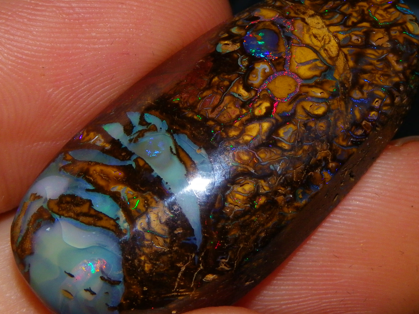 Nice Cut/Polished Koroit Opal Cab/Freeform 79.35cts Fires/Veins/Patterns Qld Au