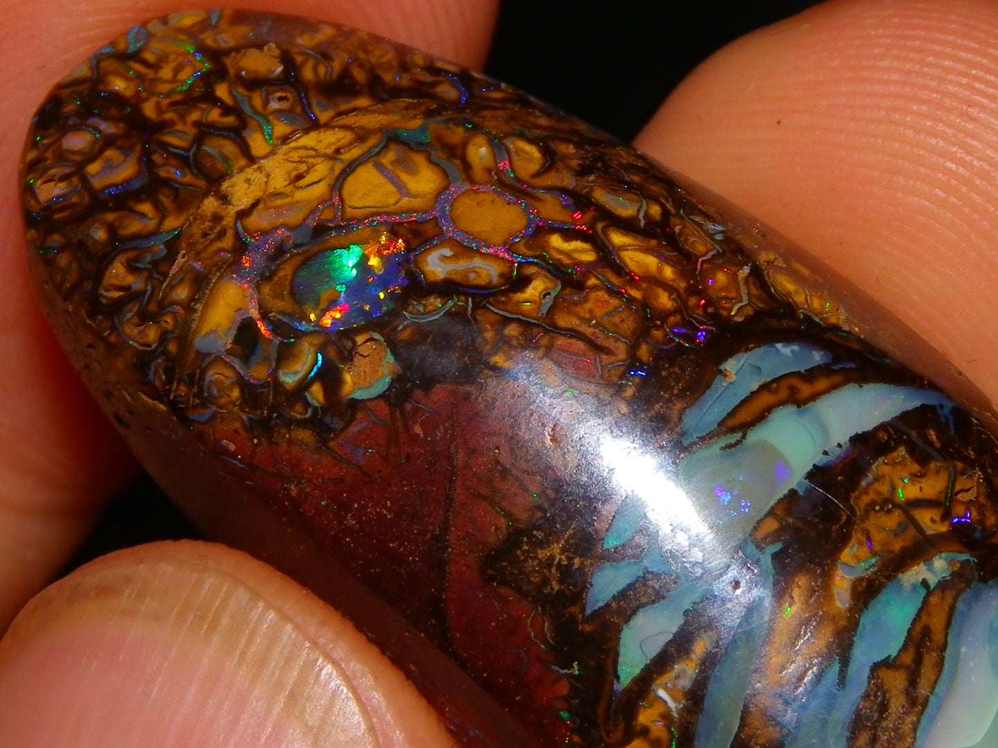 Nice Cut/Polished Koroit Opal Cab/Freeform 79.35cts Fires/Veins/Patterns Qld Au