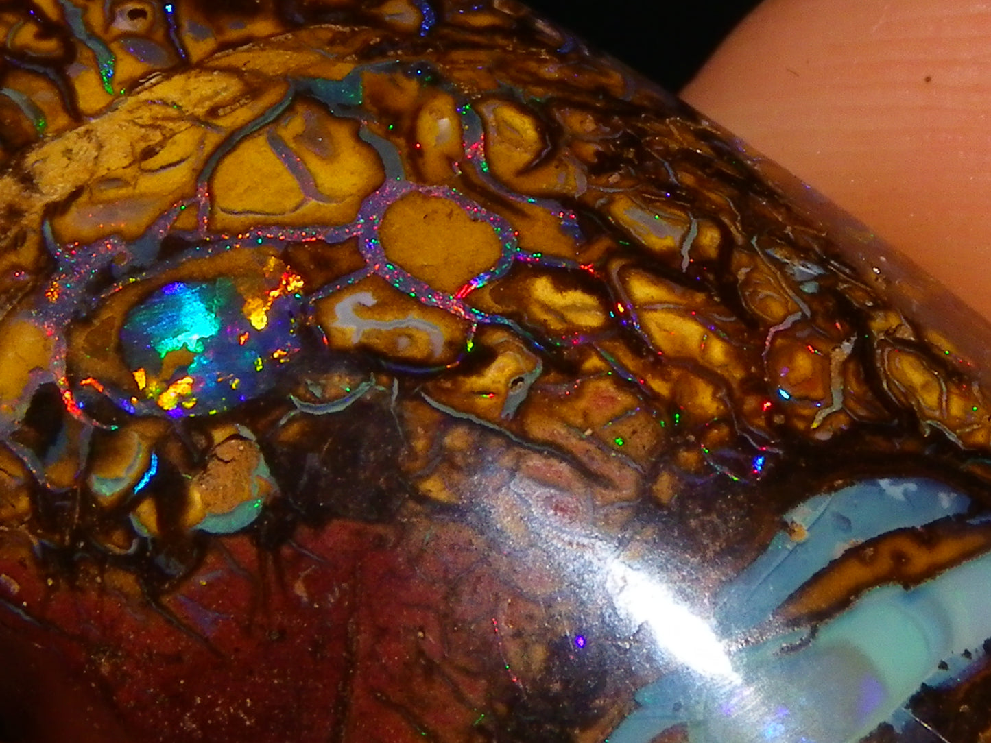 Nice Cut/Polished Koroit Opal Cab/Freeform 79.35cts Fires/Veins/Patterns Qld Au