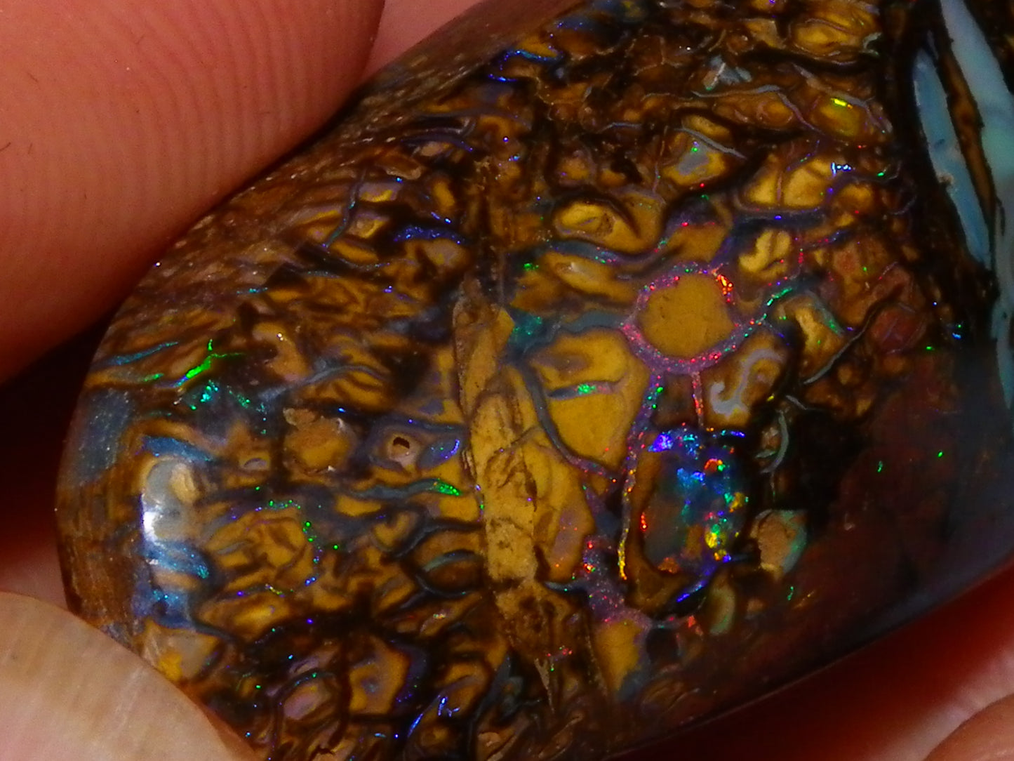 Nice Cut/Polished Koroit Opal Cab/Freeform 79.35cts Fires/Veins/Patterns Qld Au