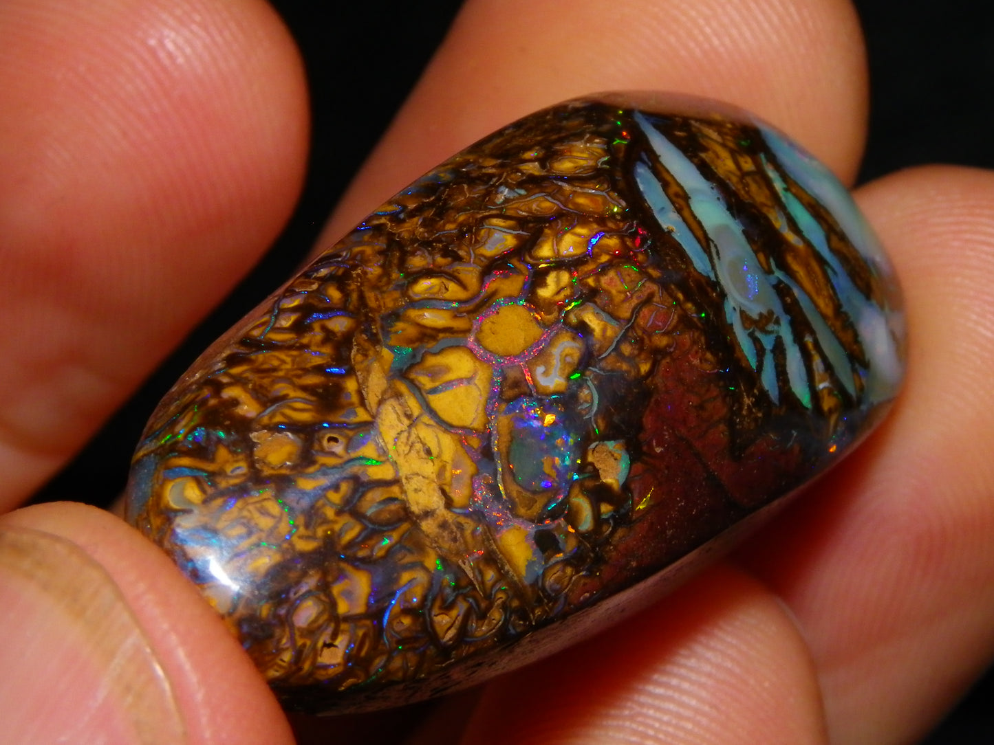 Nice Cut/Polished Koroit Opal Cab/Freeform 79.35cts Fires/Veins/Patterns Qld Au