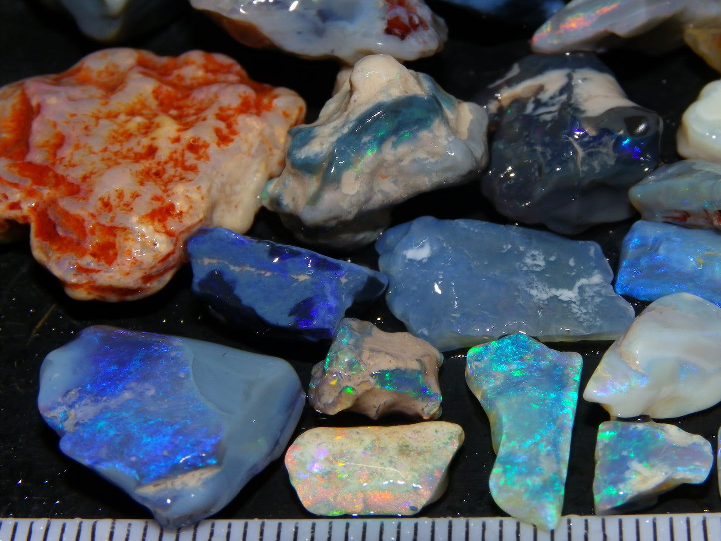 Nice Rough/Rubbed Lightning Ridge Opal Parcel 275cts Blue/Green/Pink Fires Australia (P5)