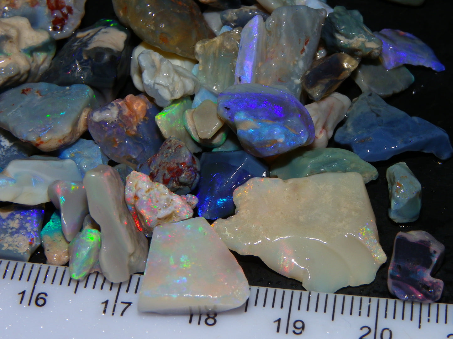 Nice Rough/Rubbed Lightning Ridge Opal Parcel 275cts Blue/Green/Pink Fires Australia (P5)