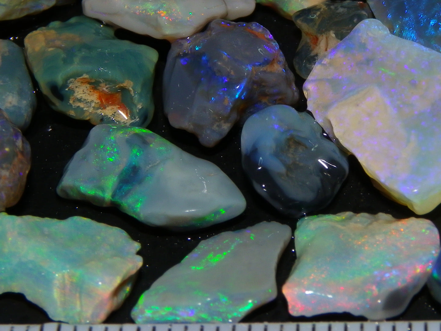 Nice Rough/Rubbed Lightning Ridge Opal Parcel 271cts Blue/Green Fires Mixed Base (P6)