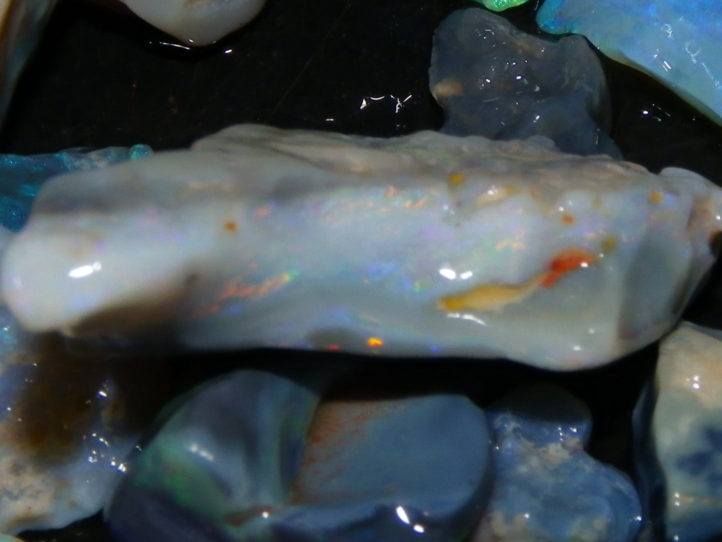 Nice Rough/Rubbed Lightning Ridge Opal Parcel 271cts Blue/Green Fires Mixed Base (P6)