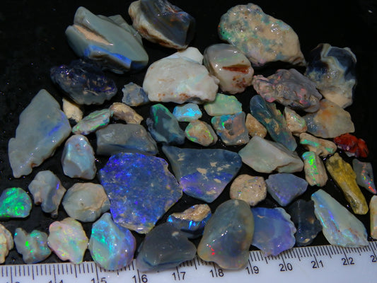 Nice Mixed Base Lightning Ridge Opal Parcel 344cts Rough Fossil/Seam/Nobby Australia (P7)