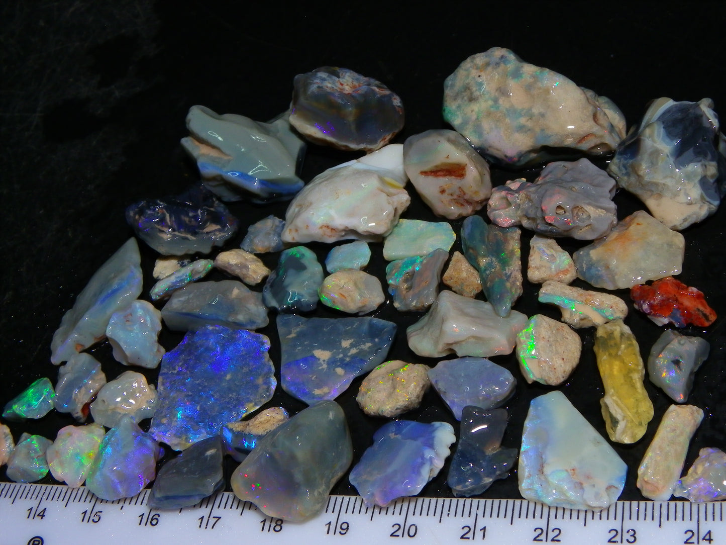 Nice Mixed Base Lightning Ridge Opal Parcel 344cts Rough Fossil/Seam/Nobby Australia (P7)