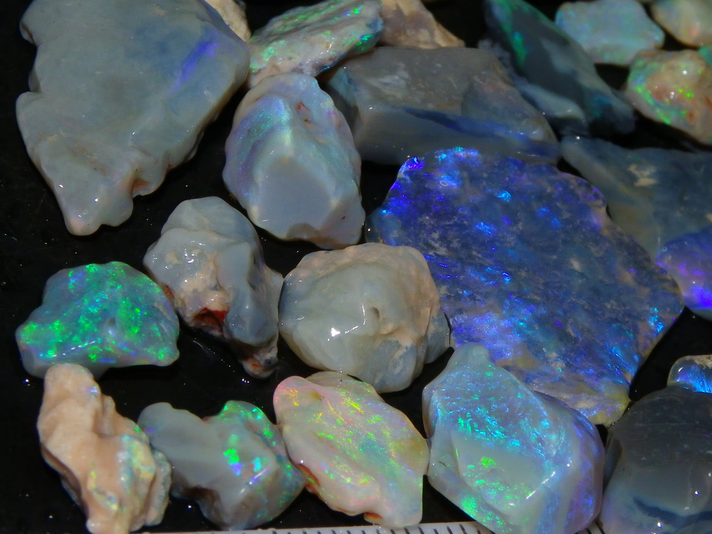 Nice Mixed Base Lightning Ridge Opal Parcel 344cts Rough Fossil/Seam/Nobby Australia (P7)