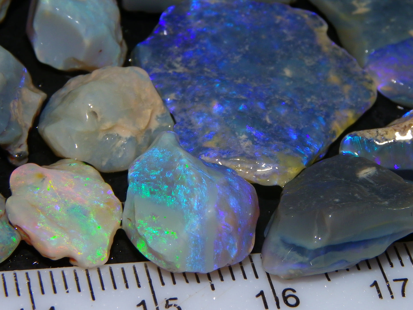 Nice Mixed Base Lightning Ridge Opal Parcel 344cts Rough Fossil/Seam/Nobby Australia (P7)