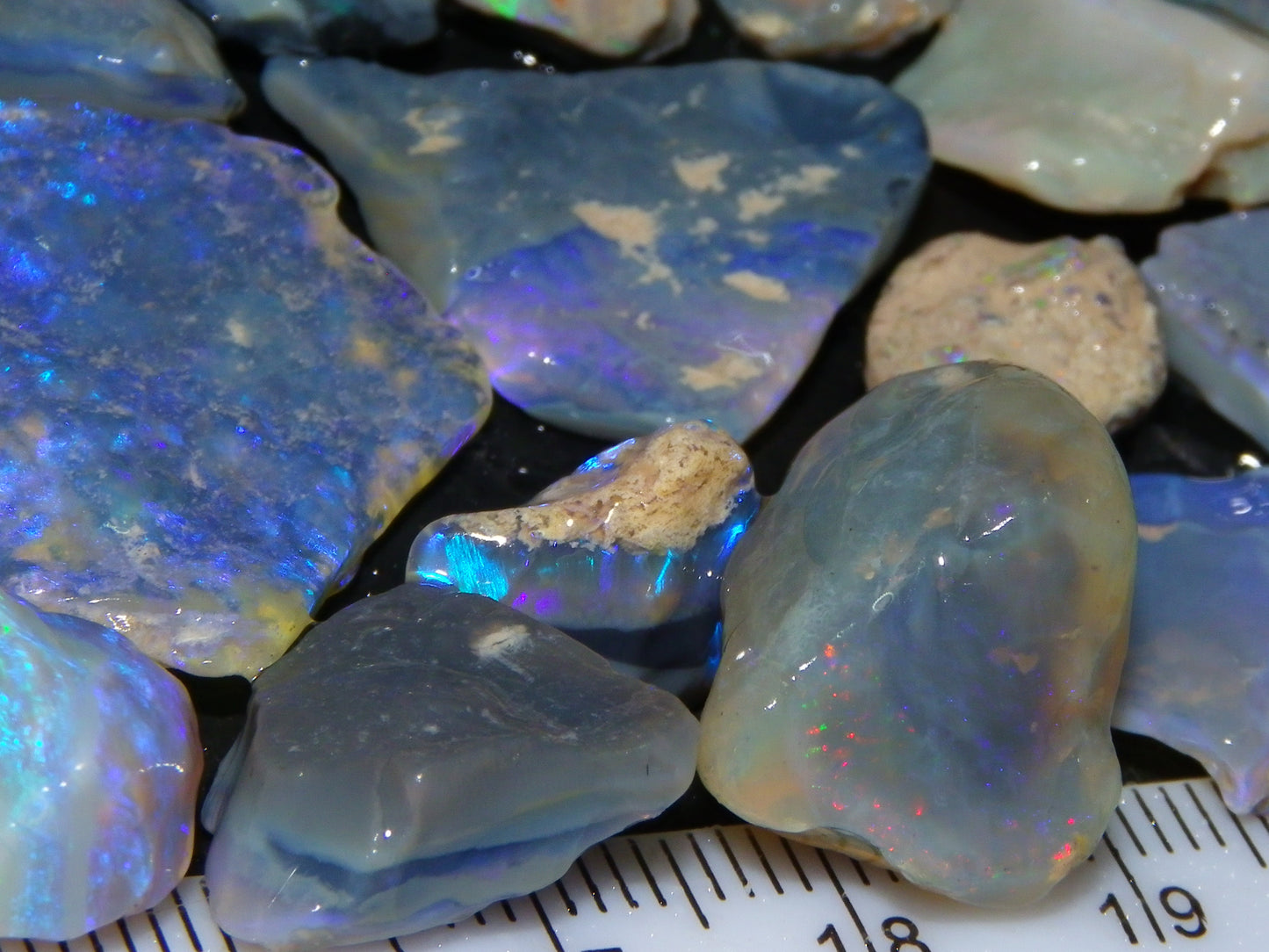 Nice Mixed Base Lightning Ridge Opal Parcel 344cts Rough Fossil/Seam/Nobby Australia (P7)
