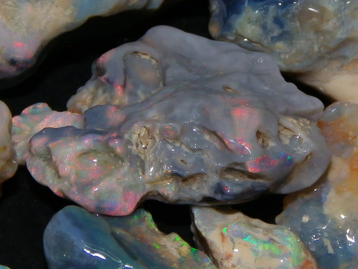 Nice Mixed Base Lightning Ridge Opal Parcel 344cts Rough Fossil/Seam/Nobby Australia (P7)