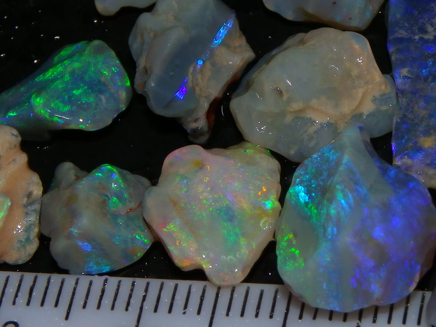 Nice Mixed Base Lightning Ridge Opal Parcel 344cts Rough Fossil/Seam/Nobby Australia (P7)