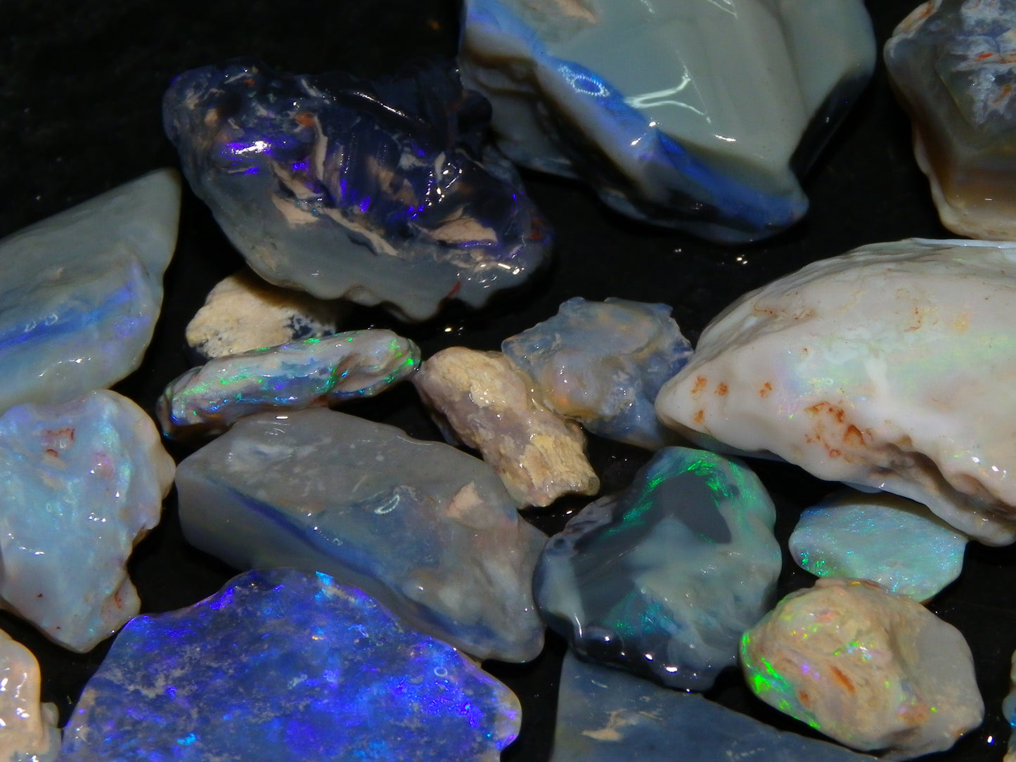 Nice Mixed Base Lightning Ridge Opal Parcel 344cts Rough Fossil/Seam/Nobby Australia (P7)