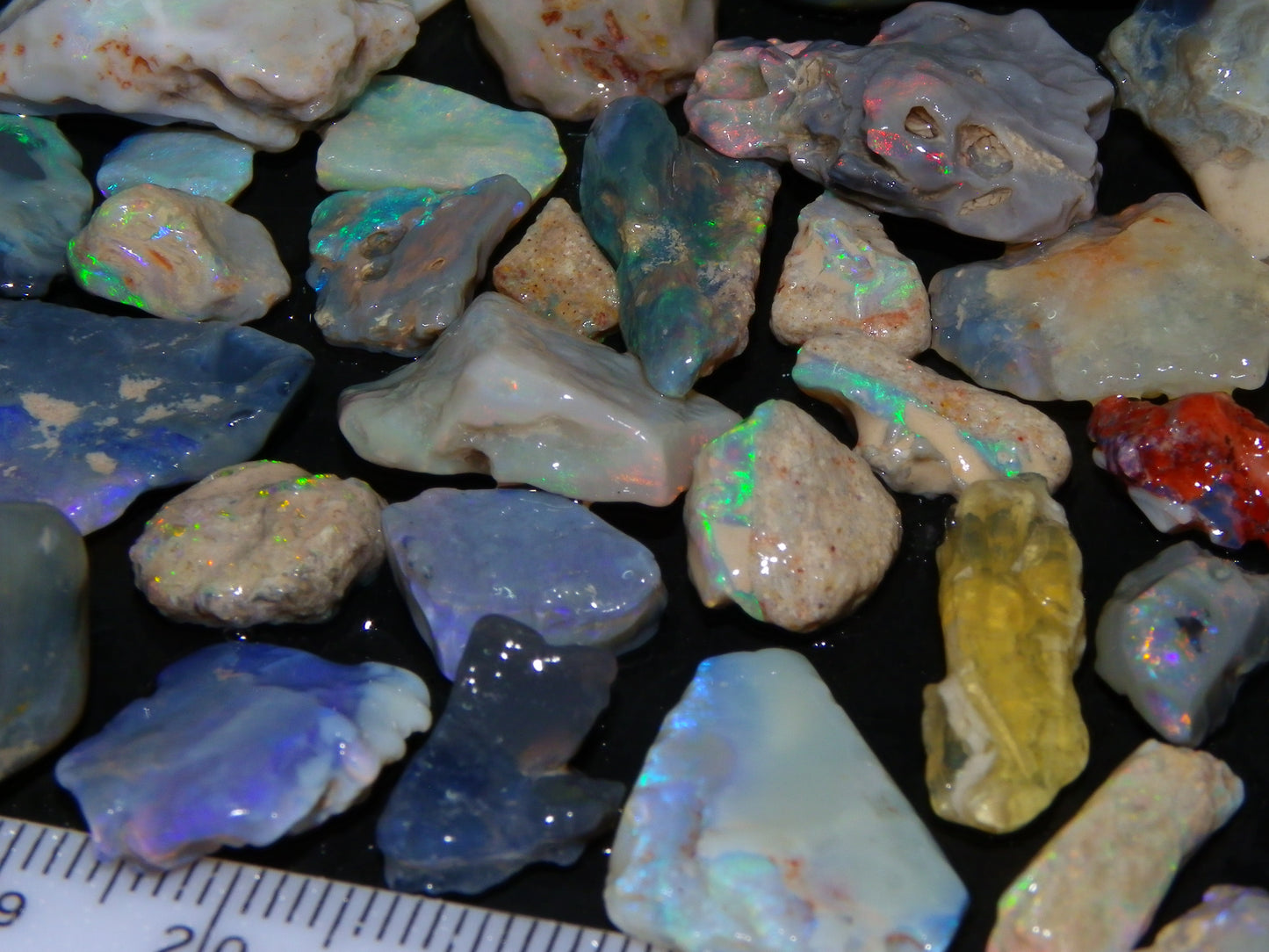 Nice Mixed Base Lightning Ridge Opal Parcel 344cts Rough Fossil/Seam/Nobby Australia (P7)
