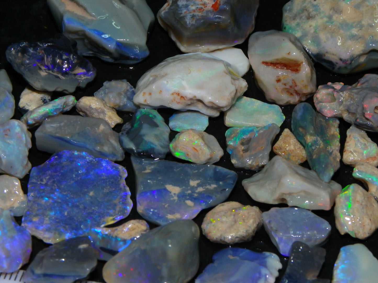 Nice Mixed Base Lightning Ridge Opal Parcel 344cts Rough Fossil/Seam/Nobby Australia (P7)