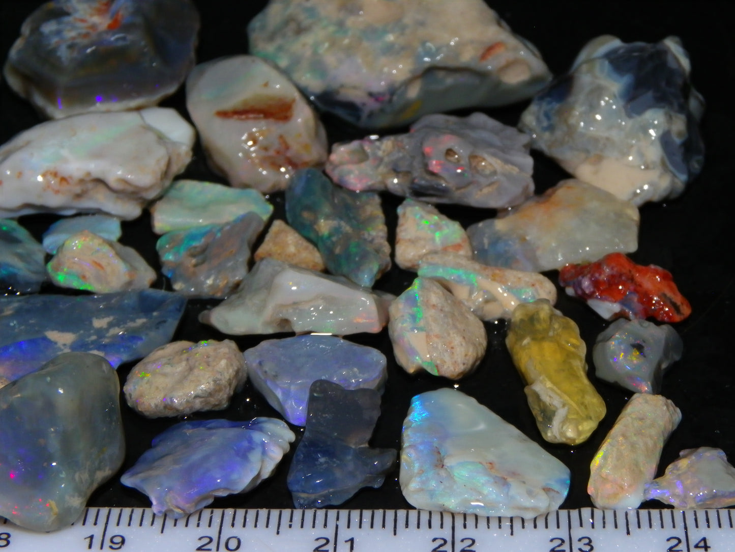 Nice Mixed Base Lightning Ridge Opal Parcel 344cts Rough Fossil/Seam/Nobby Australia (P7)