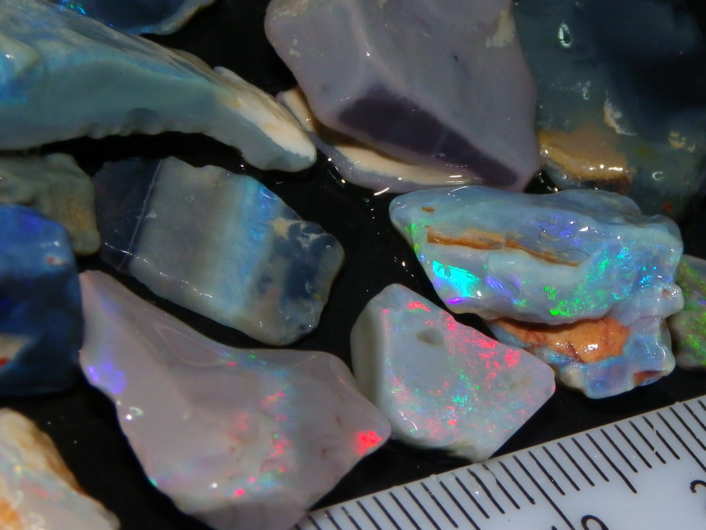Nice Rough Lightning Ridge Opal Parcel 244cts Crystal/Seam/Nobby Fires Australia (P8)