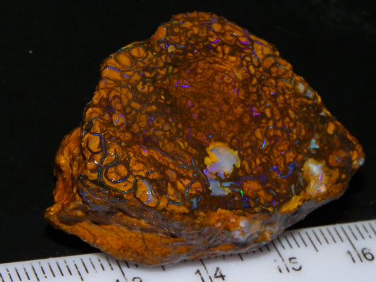 Nice Sliced Koroit Opal Rough/specimen 120.6cts Queensland Auustralia