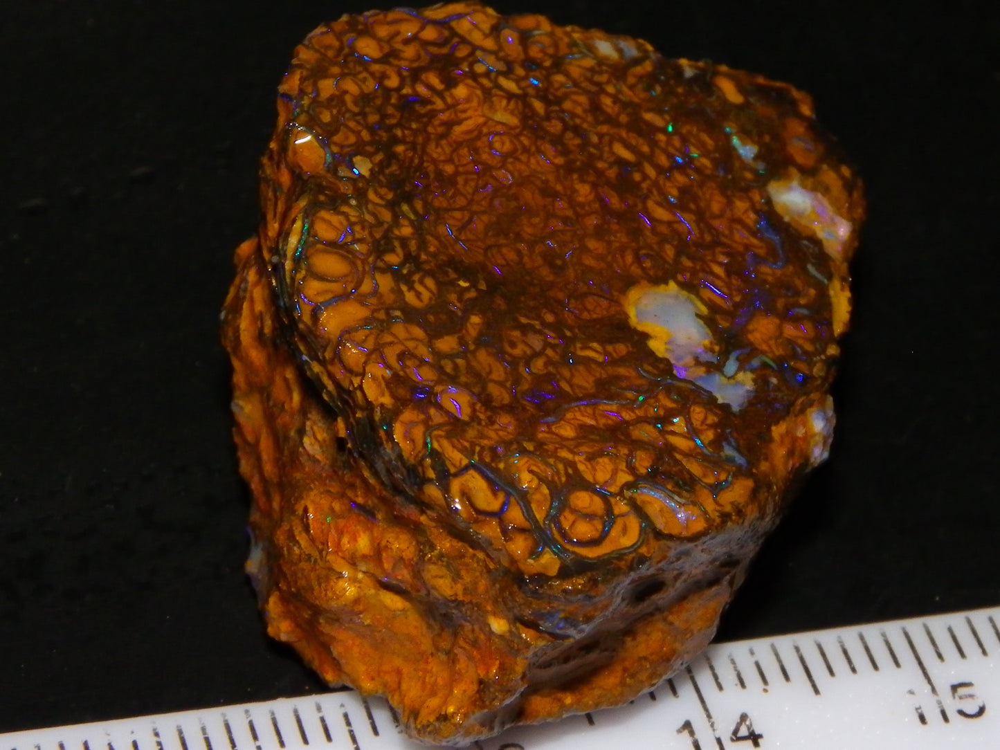 Nice Sliced Koroit Opal Rough/specimen 120.6cts Queensland Auustralia