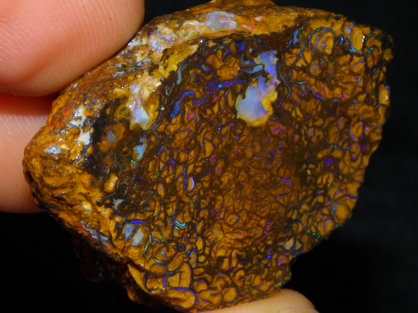 Nice Sliced Koroit Opal Rough/specimen 120.6cts Queensland Auustralia