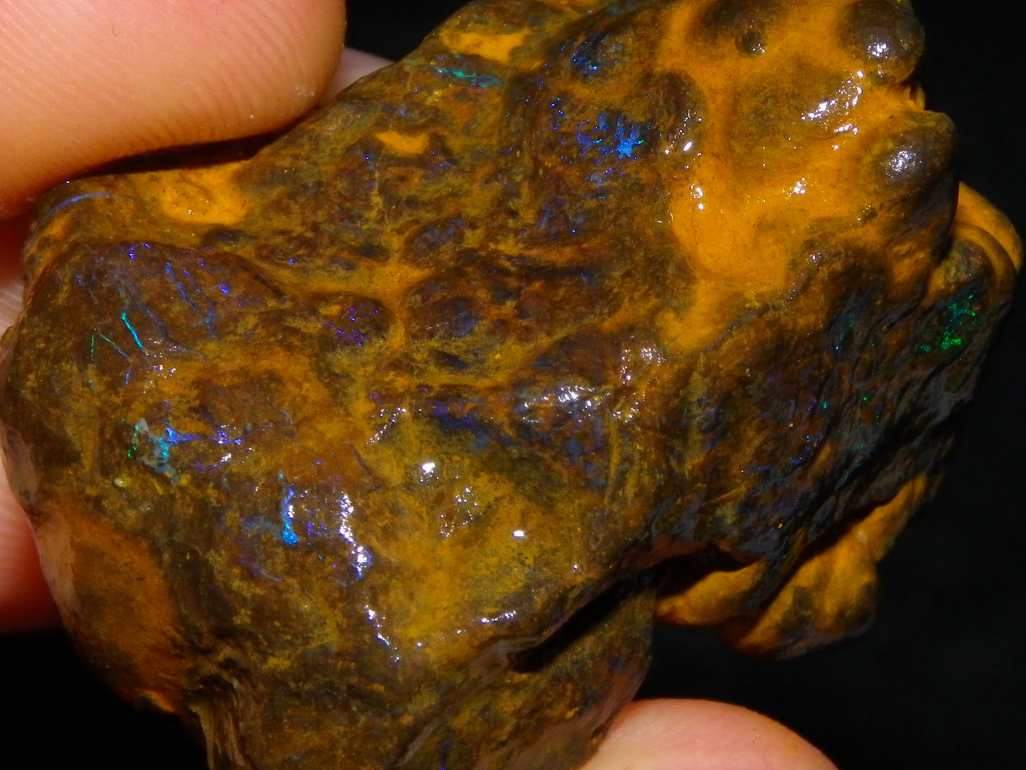 Nice Rough Opalton Matrix/Boulder Opal Parcel 551cts Queensland Australia