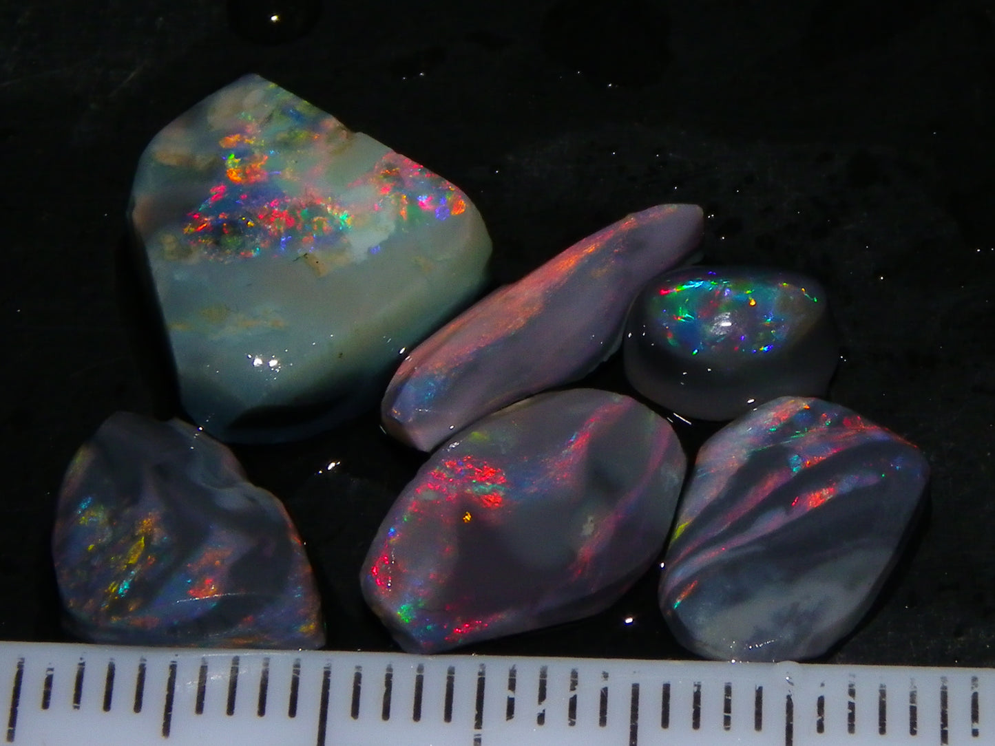 Nice Lightning Ridge Opal Rubs/Rough Parcel 12.9cts Black/Dark Base Reds/Patterns