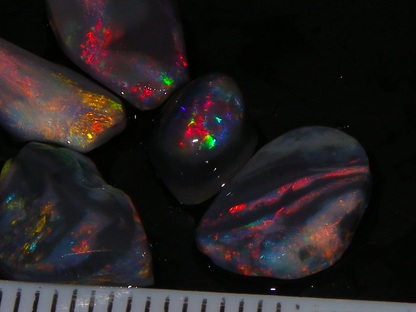 Nice Lightning Ridge Opal Rubs/Rough Parcel 12.9cts Black/Dark Base Reds/Patterns