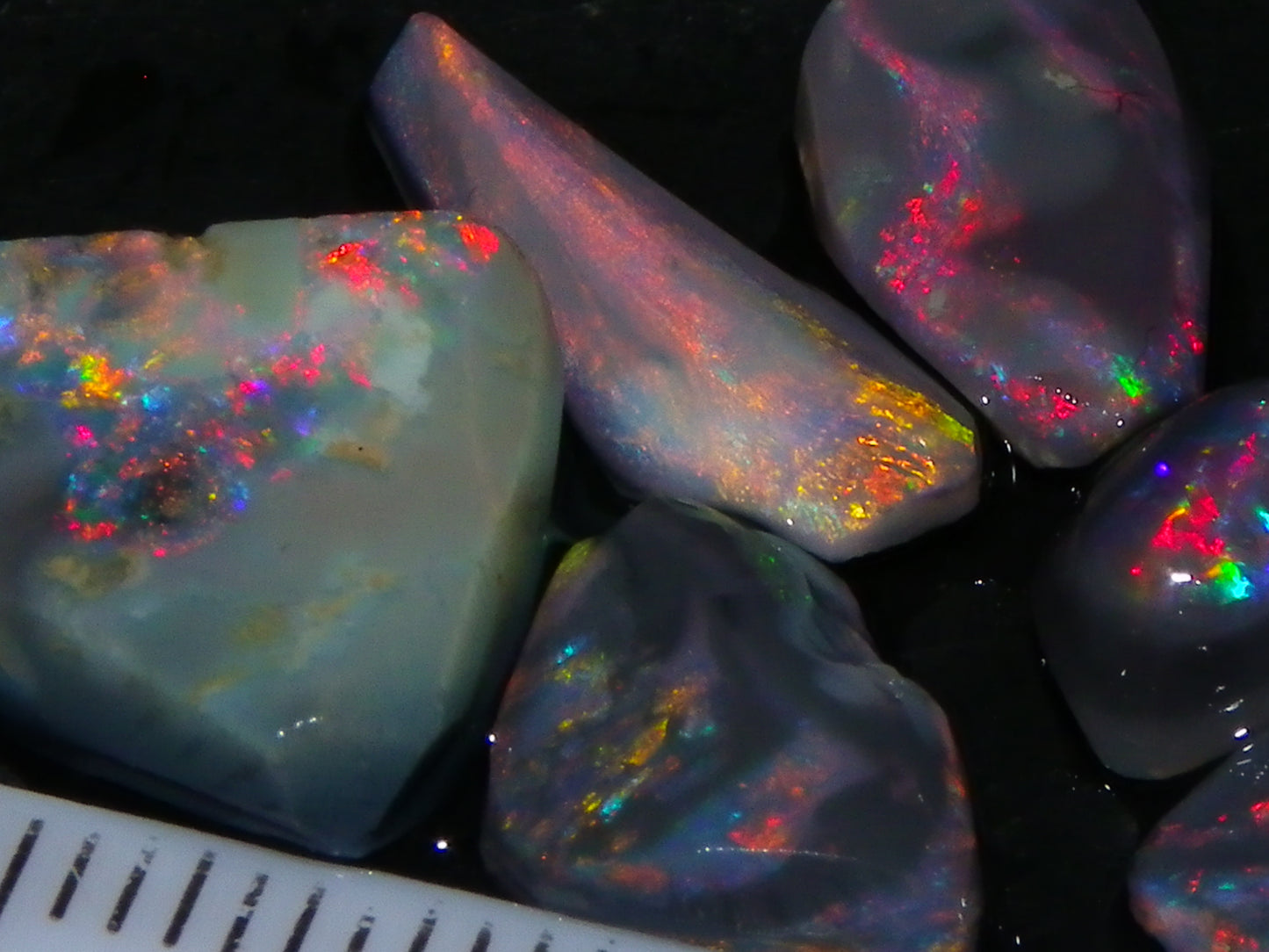 Nice Lightning Ridge Opal Rubs/Rough Parcel 12.9cts Black/Dark Base Reds/Patterns