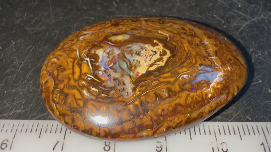 Nice Cut/Polished Koroit Nut Opal Cab 114.6cts Patterns/Green/Blue Fires